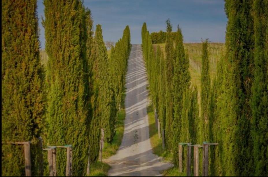 House With A View In Tuscany San Gusme Extérieur photo