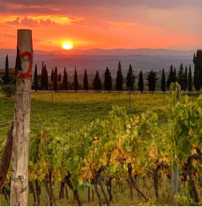 House With A View In Tuscany San Gusme Extérieur photo