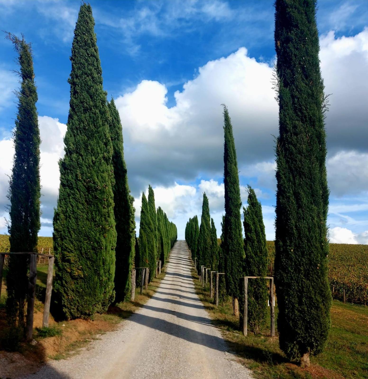 House With A View In Tuscany San Gusme Extérieur photo