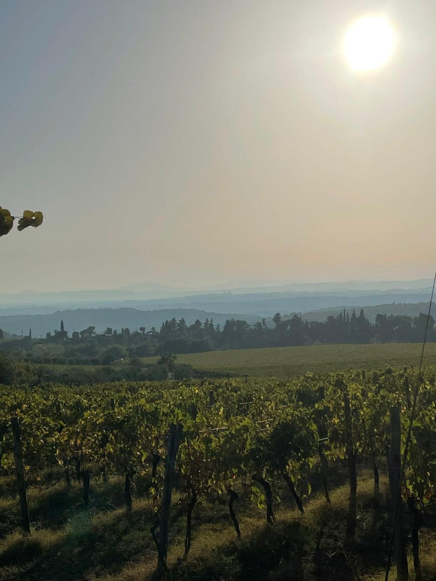 House With A View In Tuscany San Gusme Extérieur photo