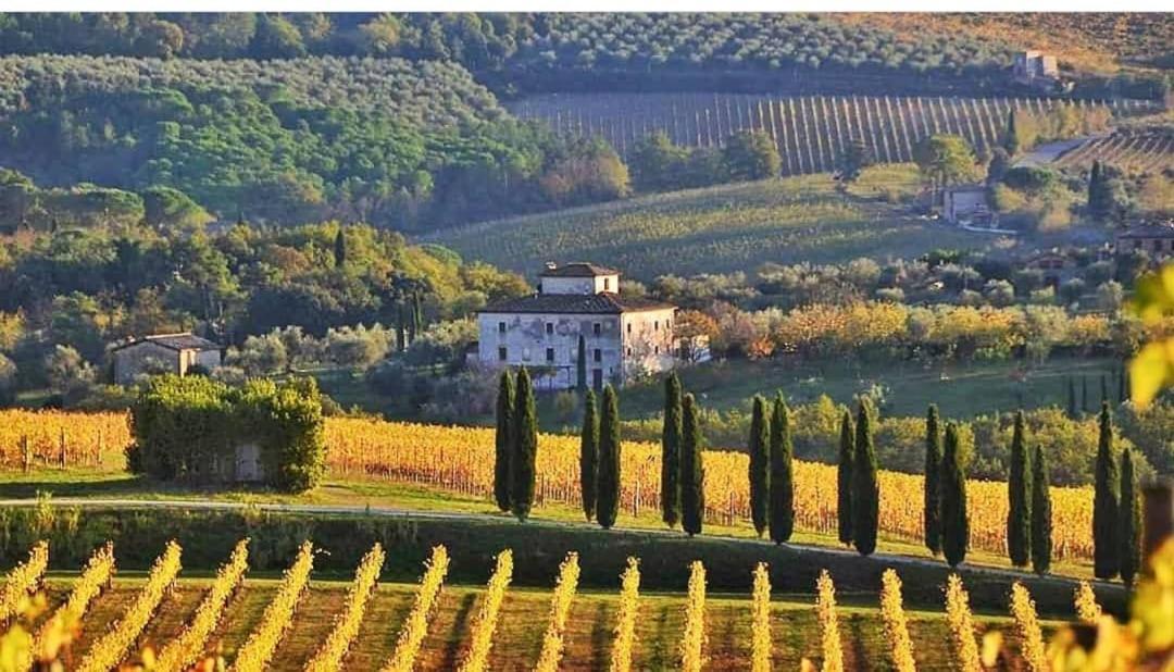 House With A View In Tuscany San Gusme Extérieur photo