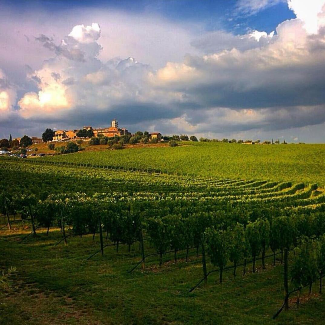 House With A View In Tuscany San Gusme Extérieur photo